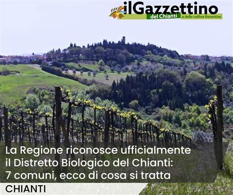 Il Gazzettino del Chianti e delle Colline Fiorentine  